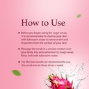 LA BODIES® Sugar Scrub Foot & Body Dragon Fruit Scent (20 oz)