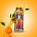 NOXIDE™ Antioxidant Detox Liquid Formula CITRUS (16 fl oz)